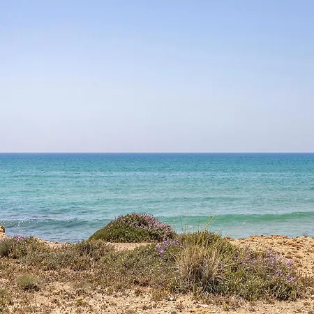 2 Bedroom Pet Friendly In Apartment Perdifumo